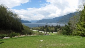 Furry Creek #1 Tee